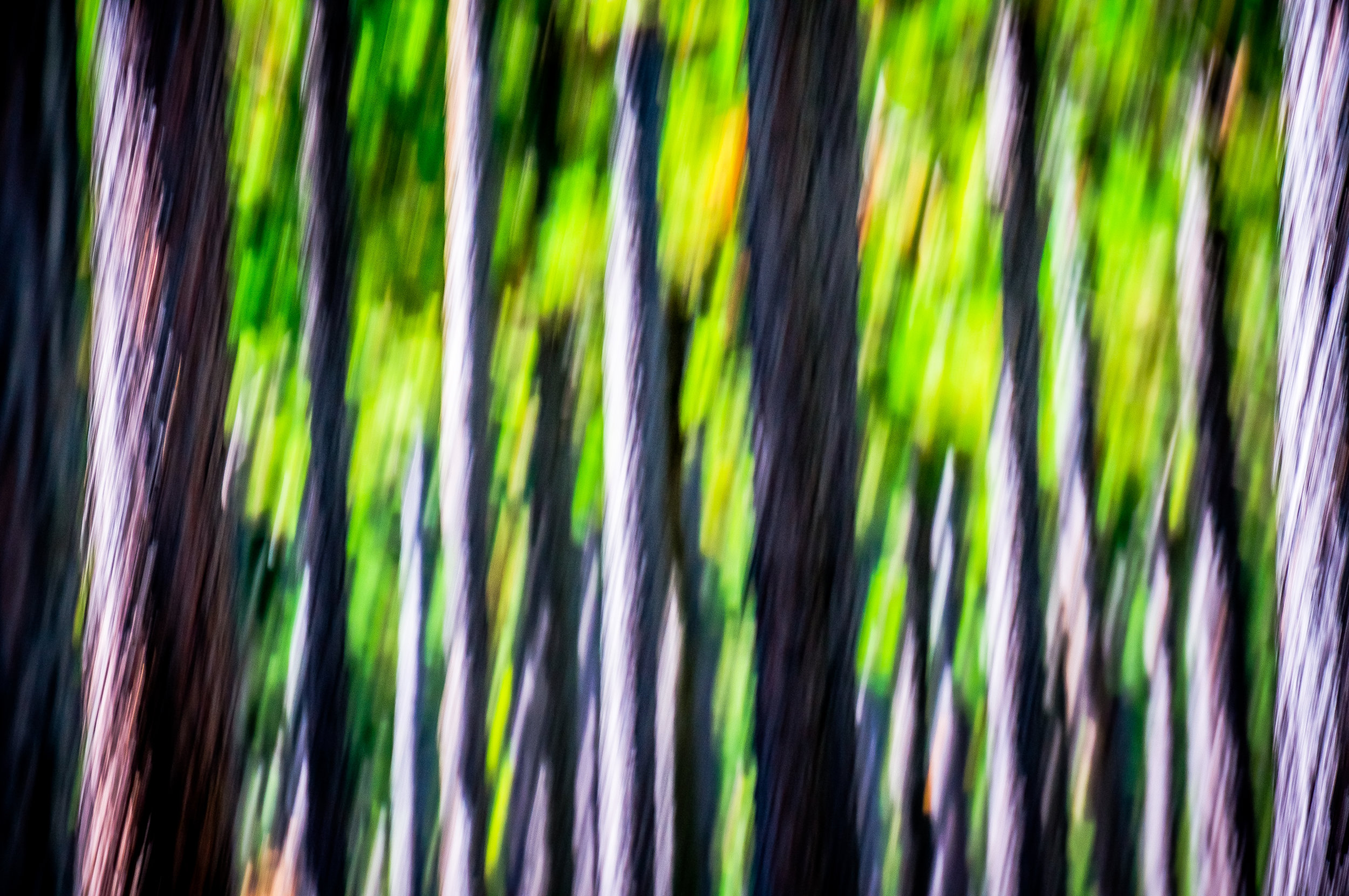 SA MPA Panoramic Route 201304-00163.jpg