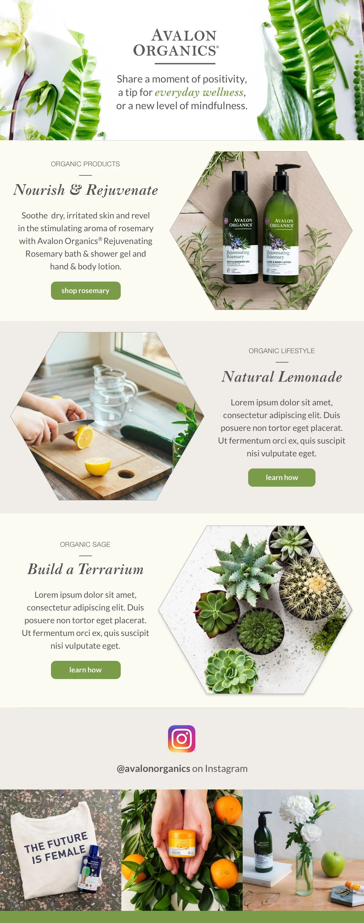 Avalon Organics Email
