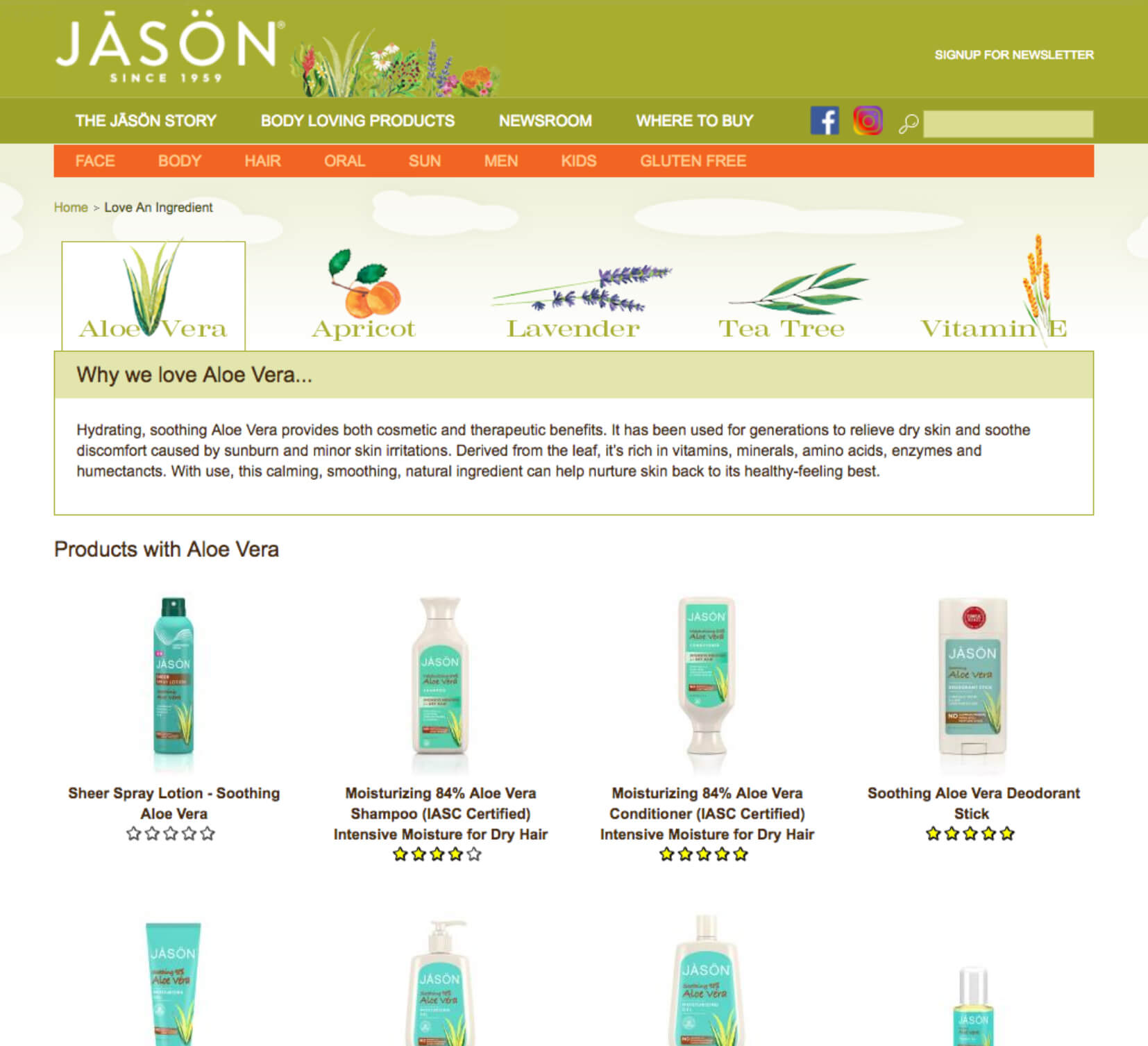 JASON_Old_ShoppableGlossary.jpg