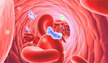  Conjestive Heart Failure, Aldosterone in blood vessel 