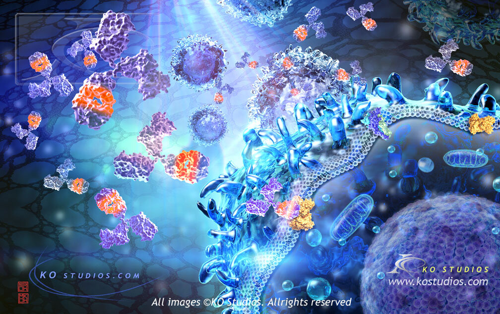 2700 Immunotherapy Stock Photos Pictures  RoyaltyFree Images  iStock