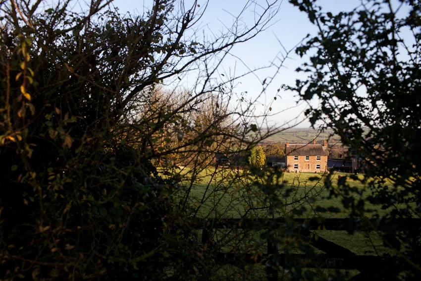 Drew Morgan-YoungFarming-20111117-IMG_0122.jpg