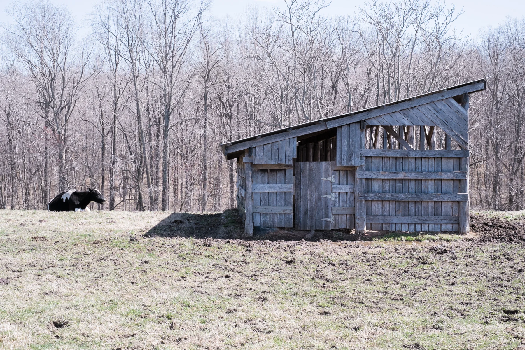 Drew Morgan-USA-Twin Oaks-20130314-DSCF6865.jpg