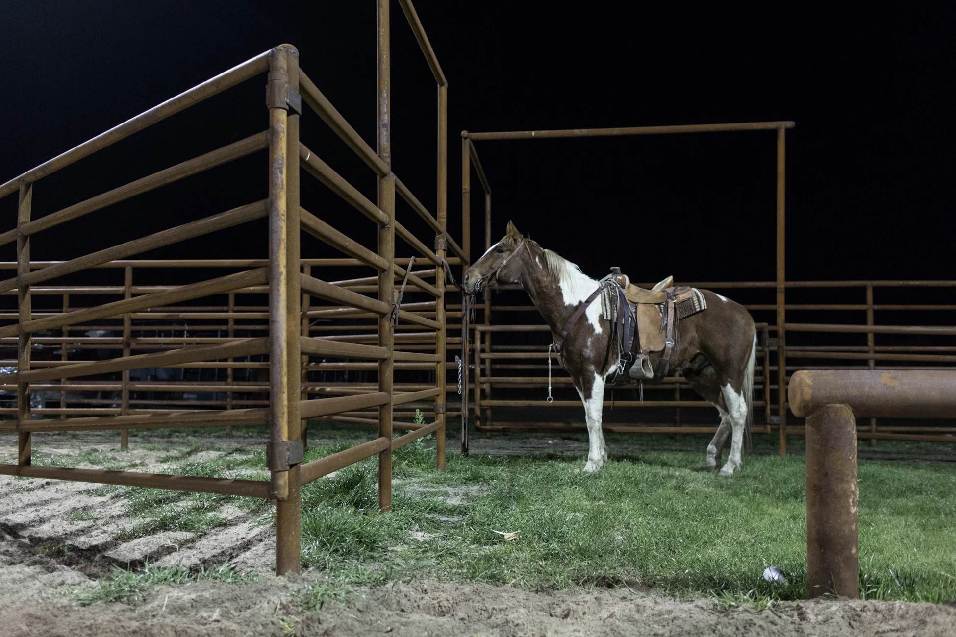 Drew Morgan-USA-Texas-20130327-QU6A0276.jpg