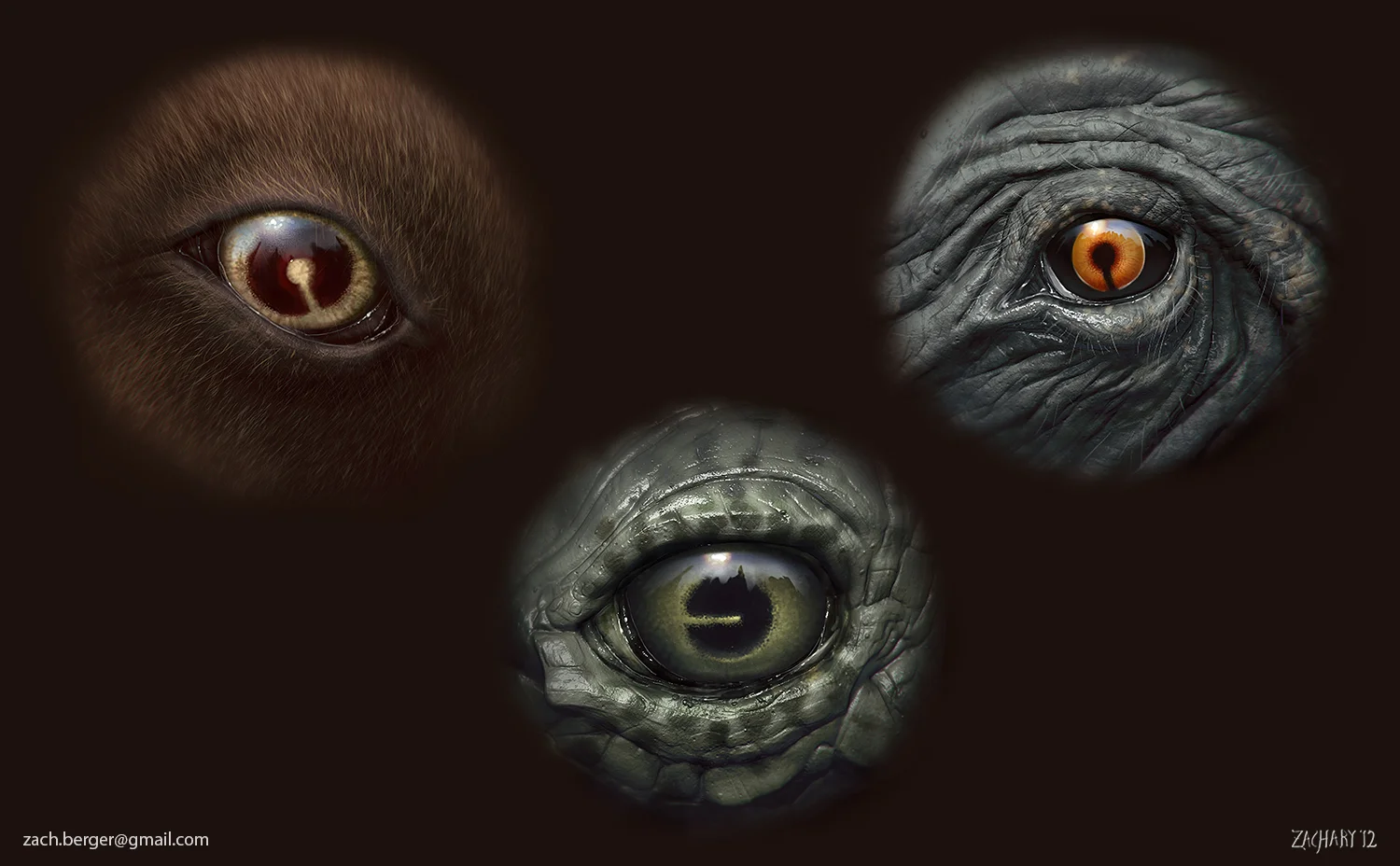 Eyes_SMALL.jpg