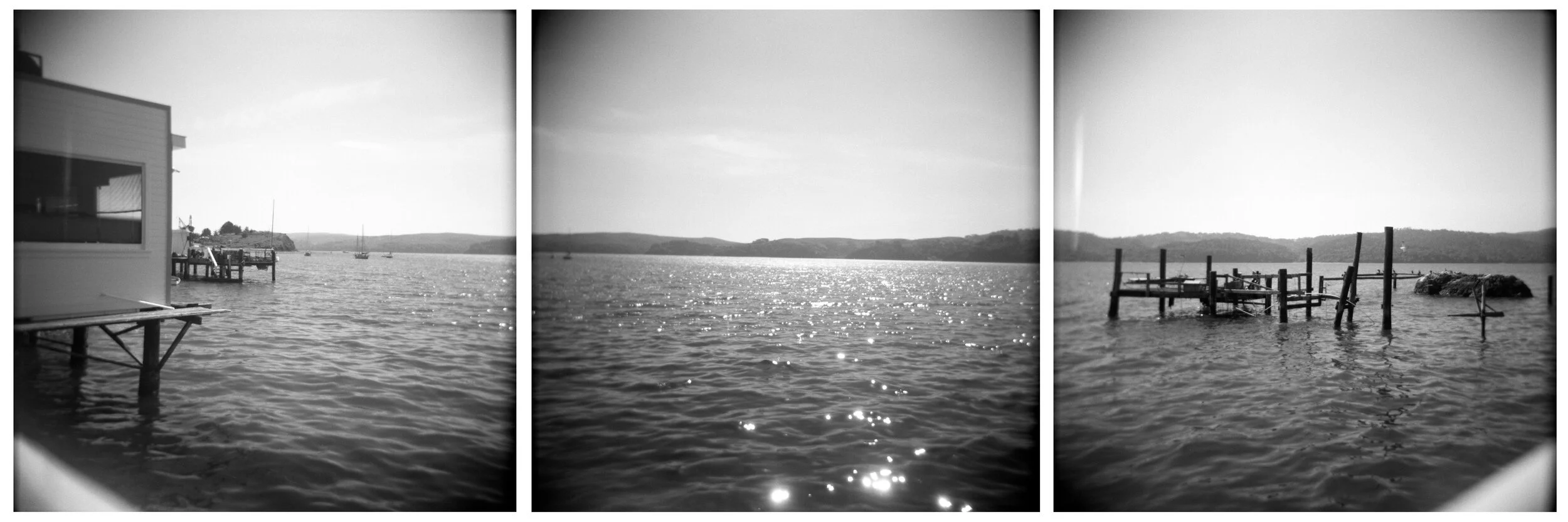 Tomales Bay, Point Reyes, 2010