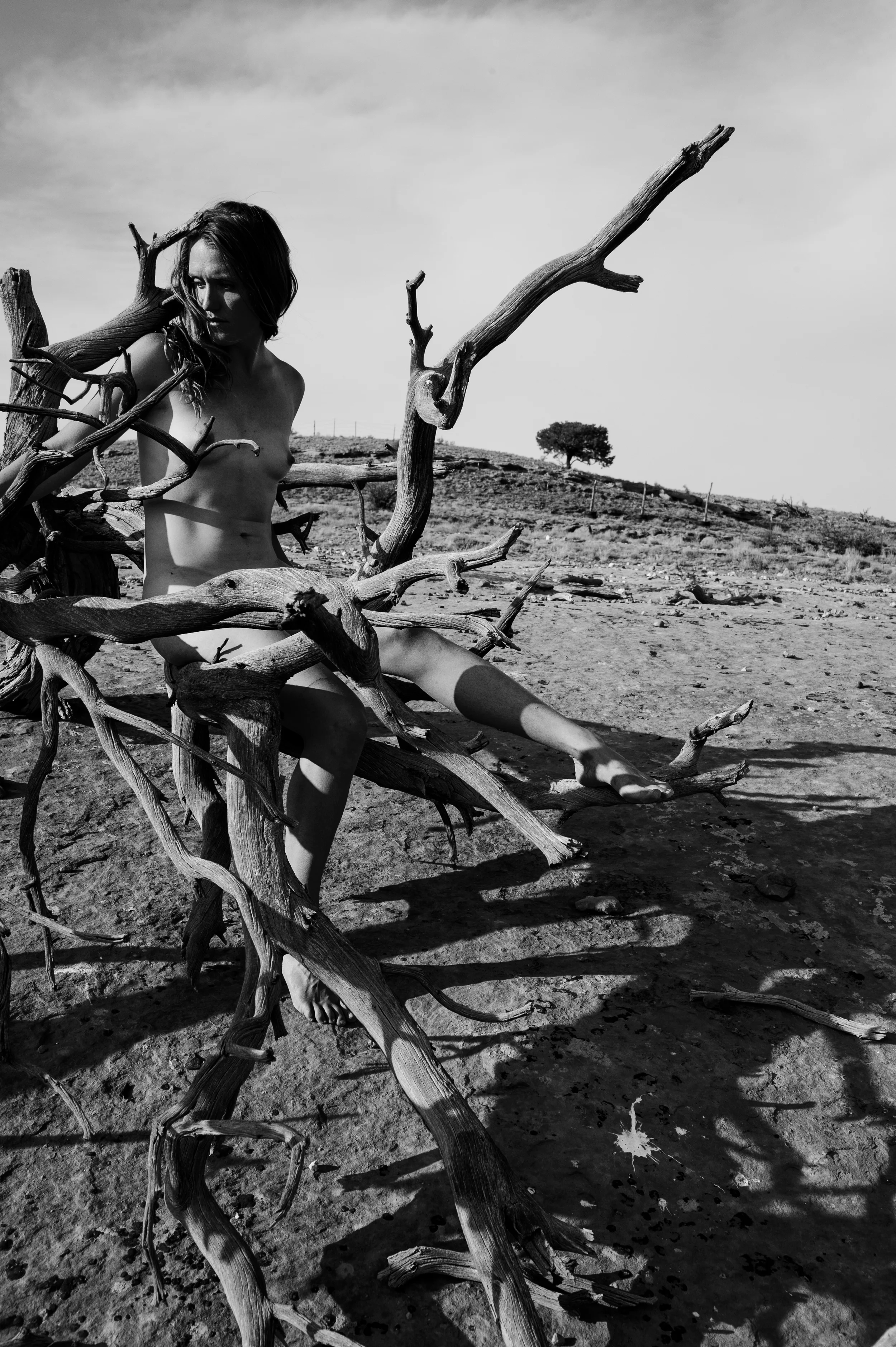 nude in tree 1.jpg
