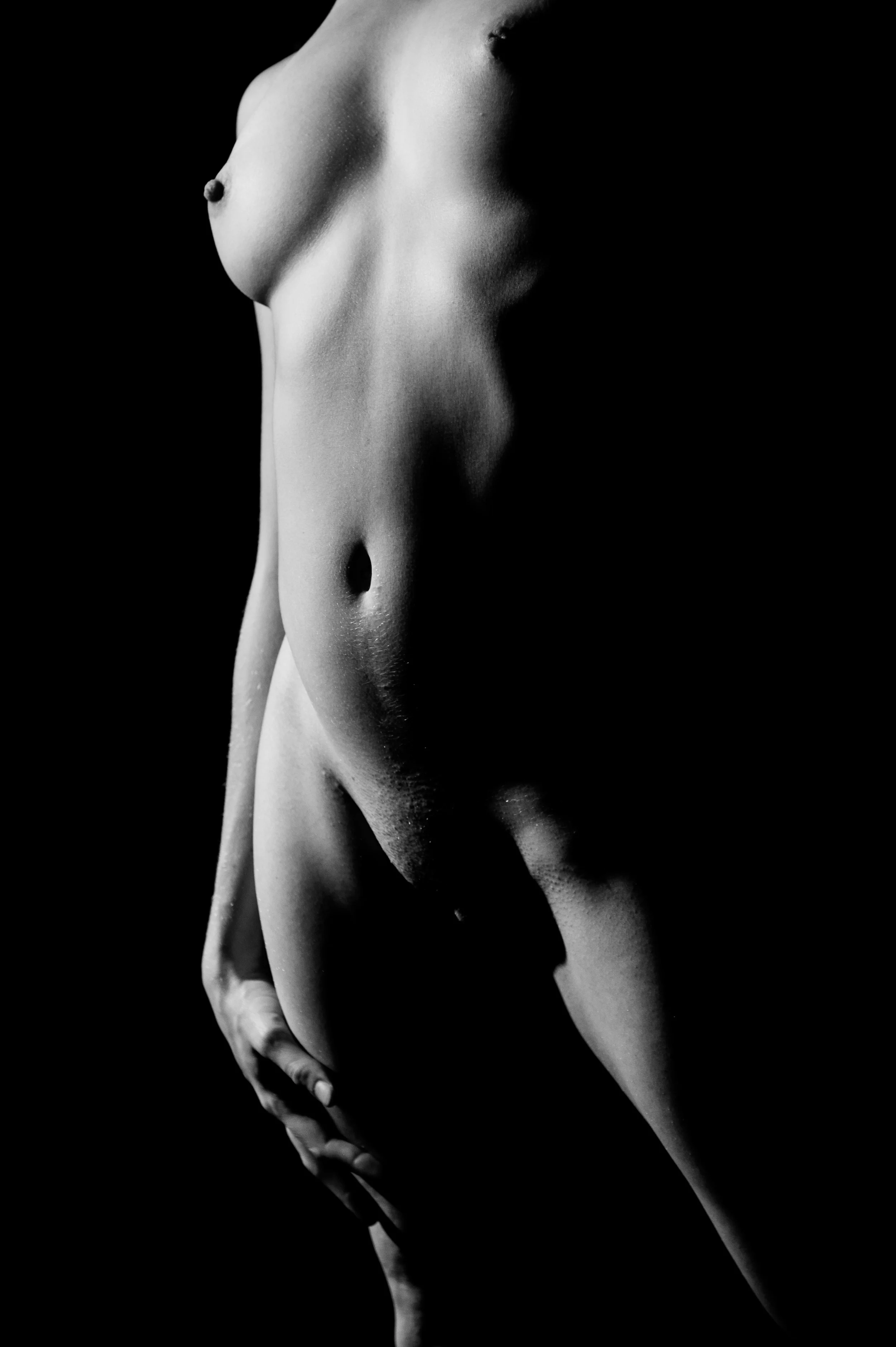 torso 1.jpg