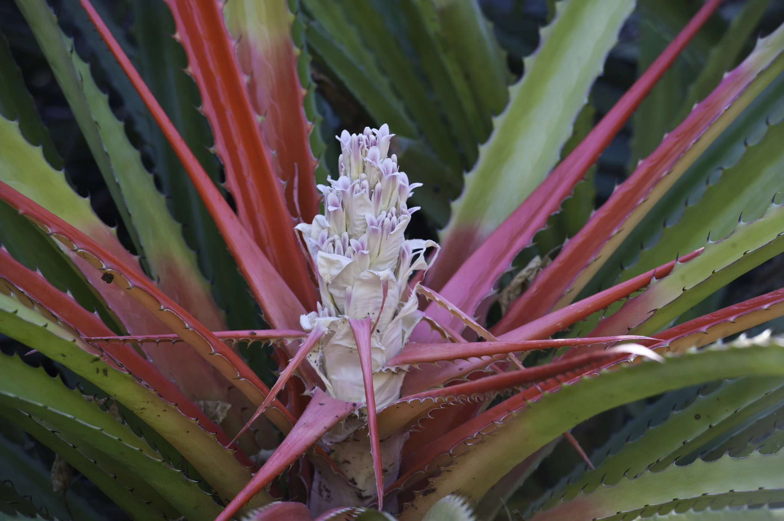 20110308-CD1_3881.jpg