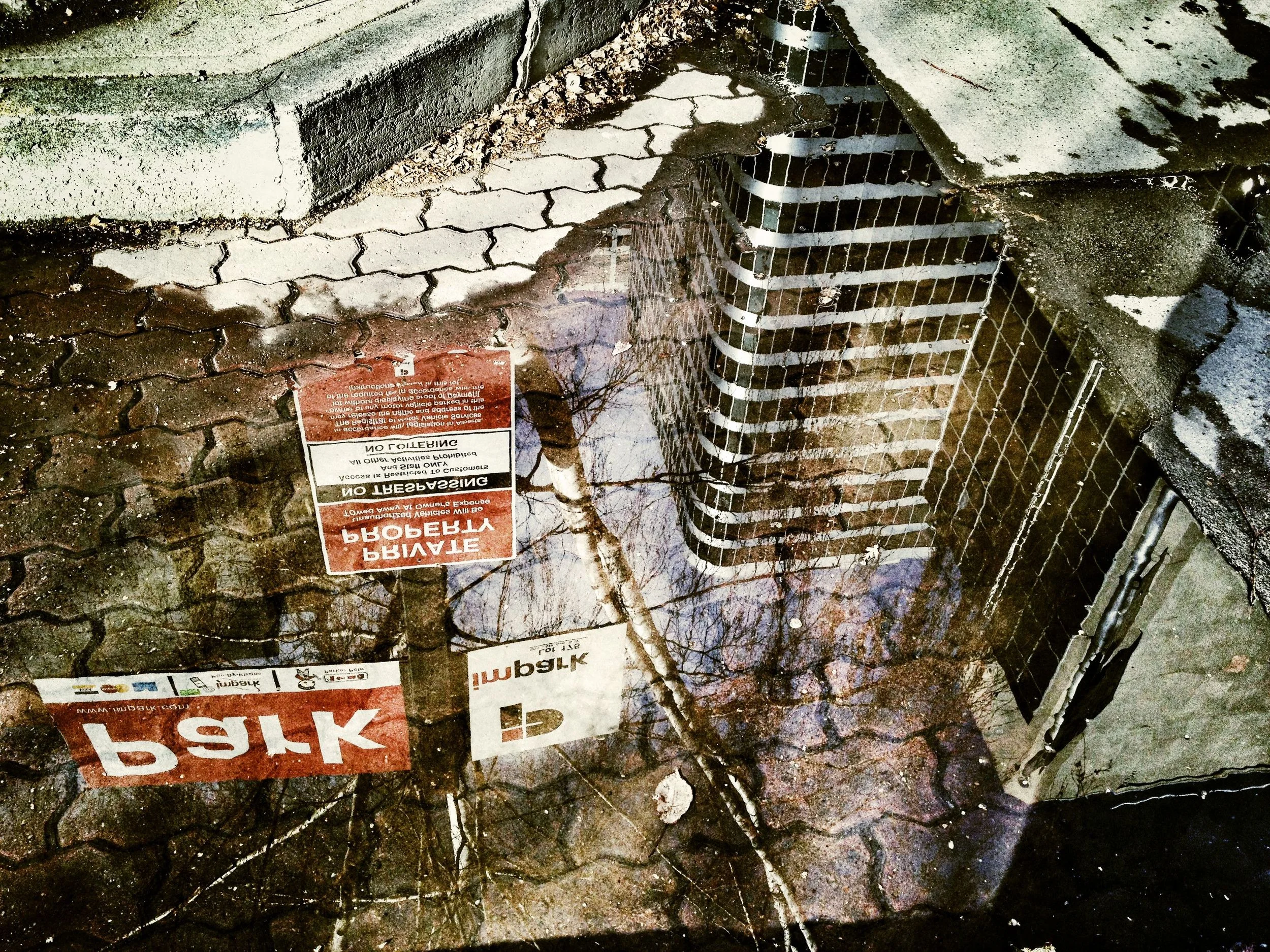 calgary puddle.jpg