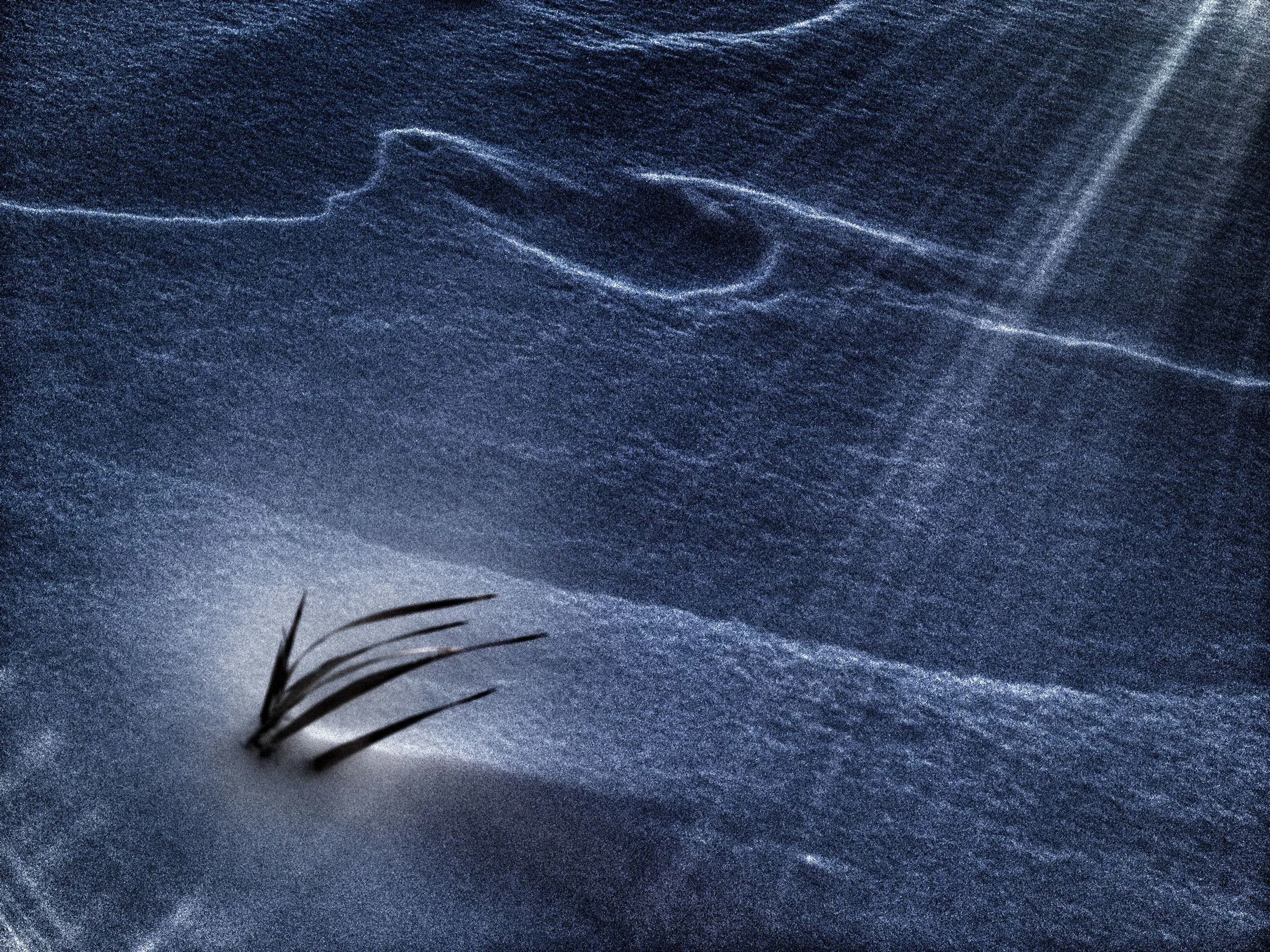 winterscape 1.jpg