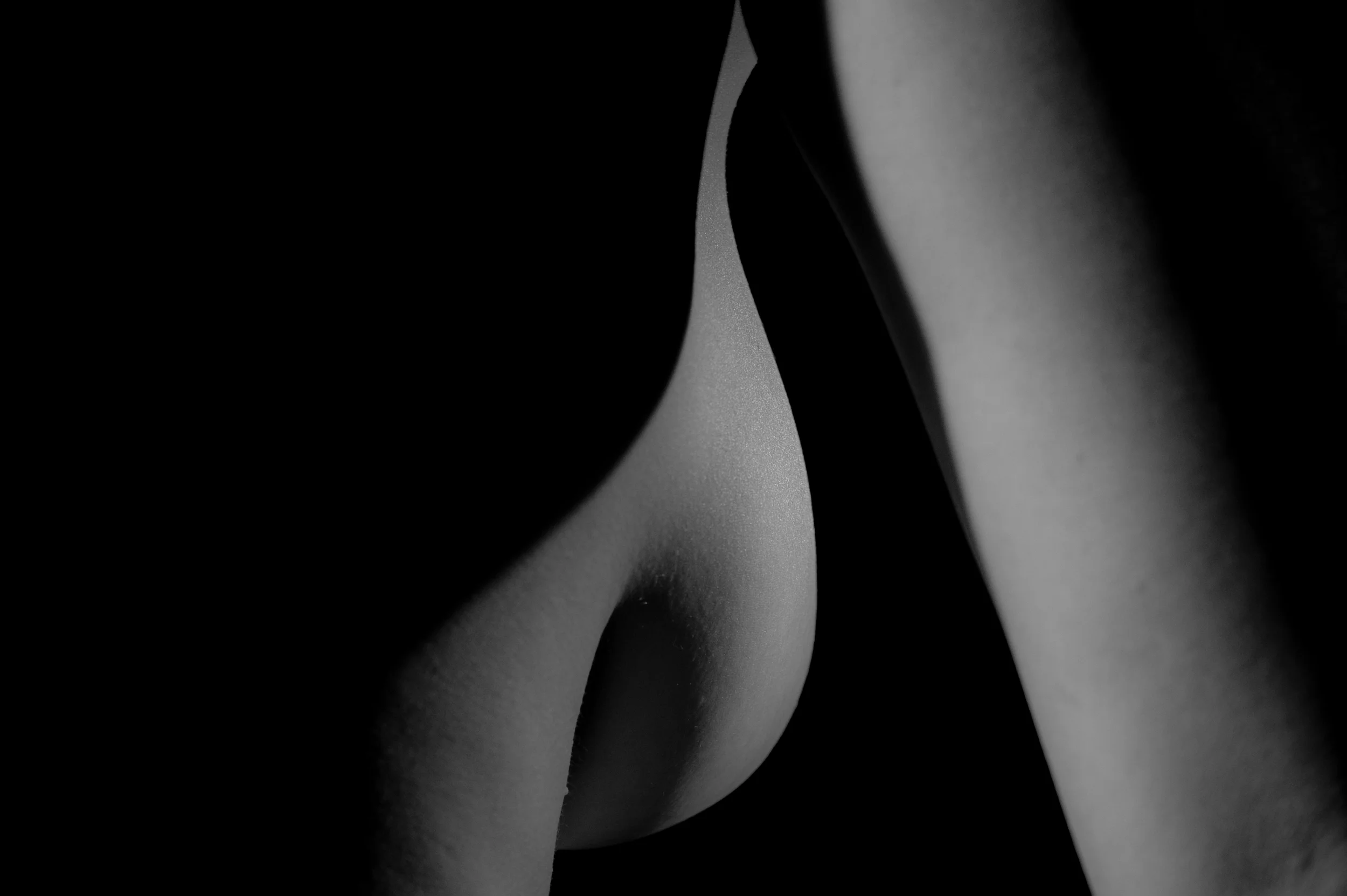 CD1_6954.jpg