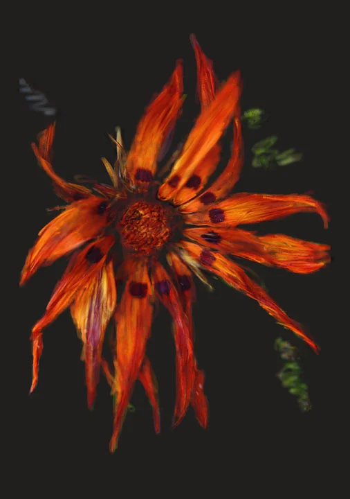 orange flower.jpg