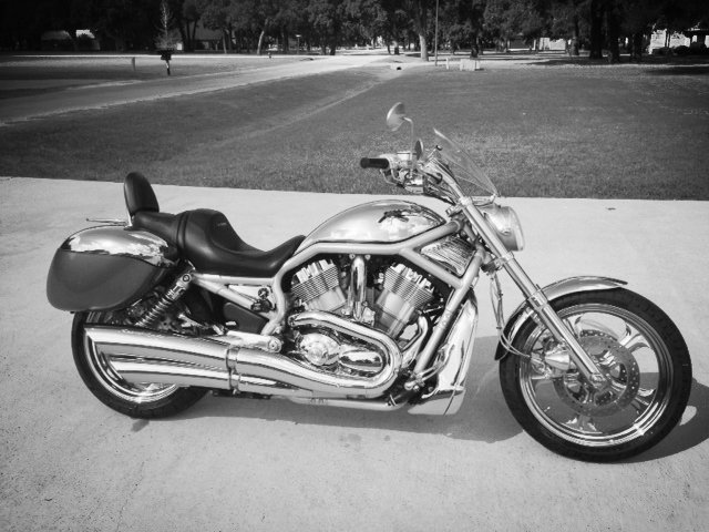 2002 Harley Davidson V/Rod