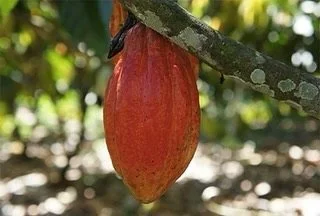 WORKHORSE RYE bitters are not only made from carefully sourced, vibrant quality botanicals&hellip; they are not only higher proof than most as to keep the flavors near-everlasting and articulate&hellip; they are made with QUALITY SPIRITS, which set a