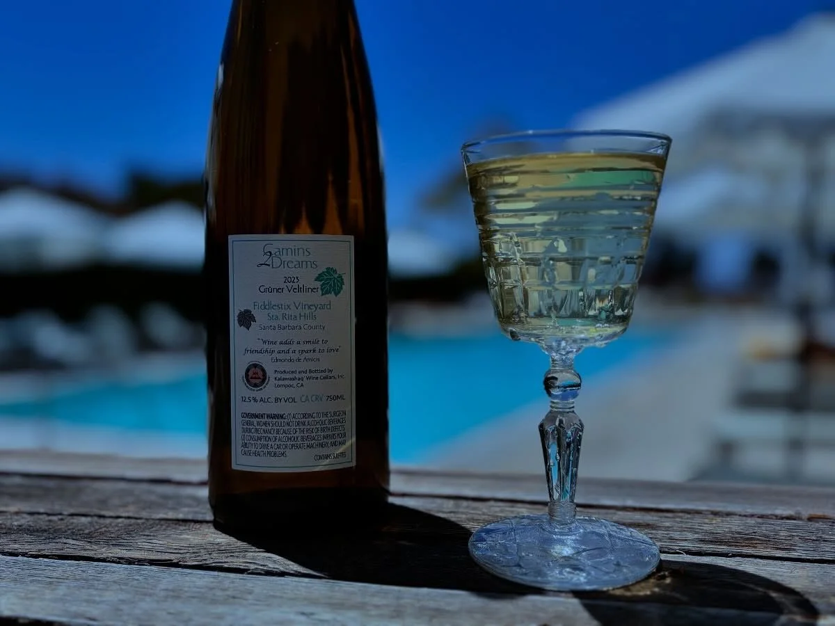 BOTANICAL SPRITZ at @cuyamabuckhorn with bright, local low-intervention desert-friendly Gr&uuml;ner Veltliner by @camins2dreams and Modern Ancient Chrysanthemum Elixir! Option: add in 1/2 oz Modern Ancient Southwest Heirloom Grain Blend. On menu now 