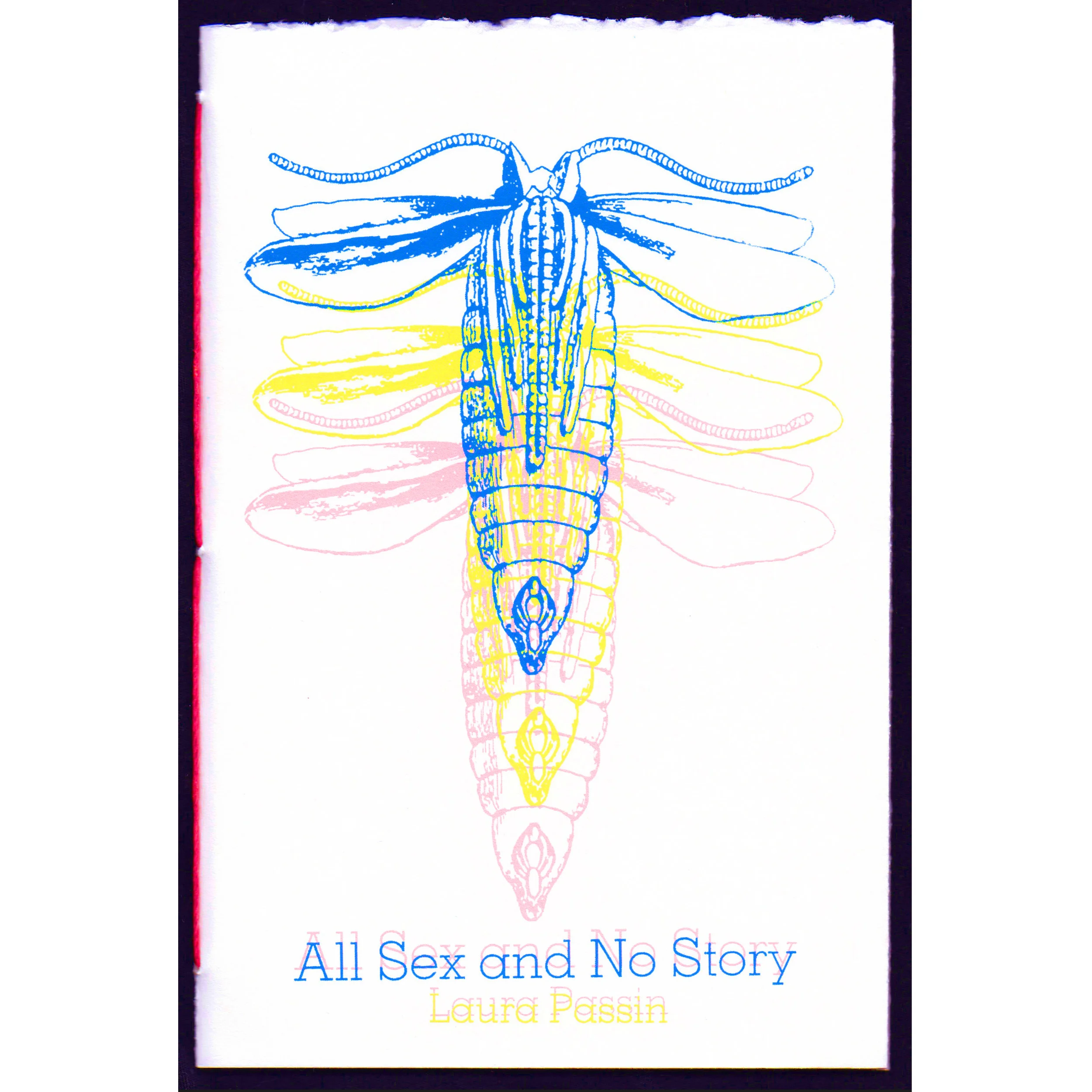 Passin Cover for website.jpg