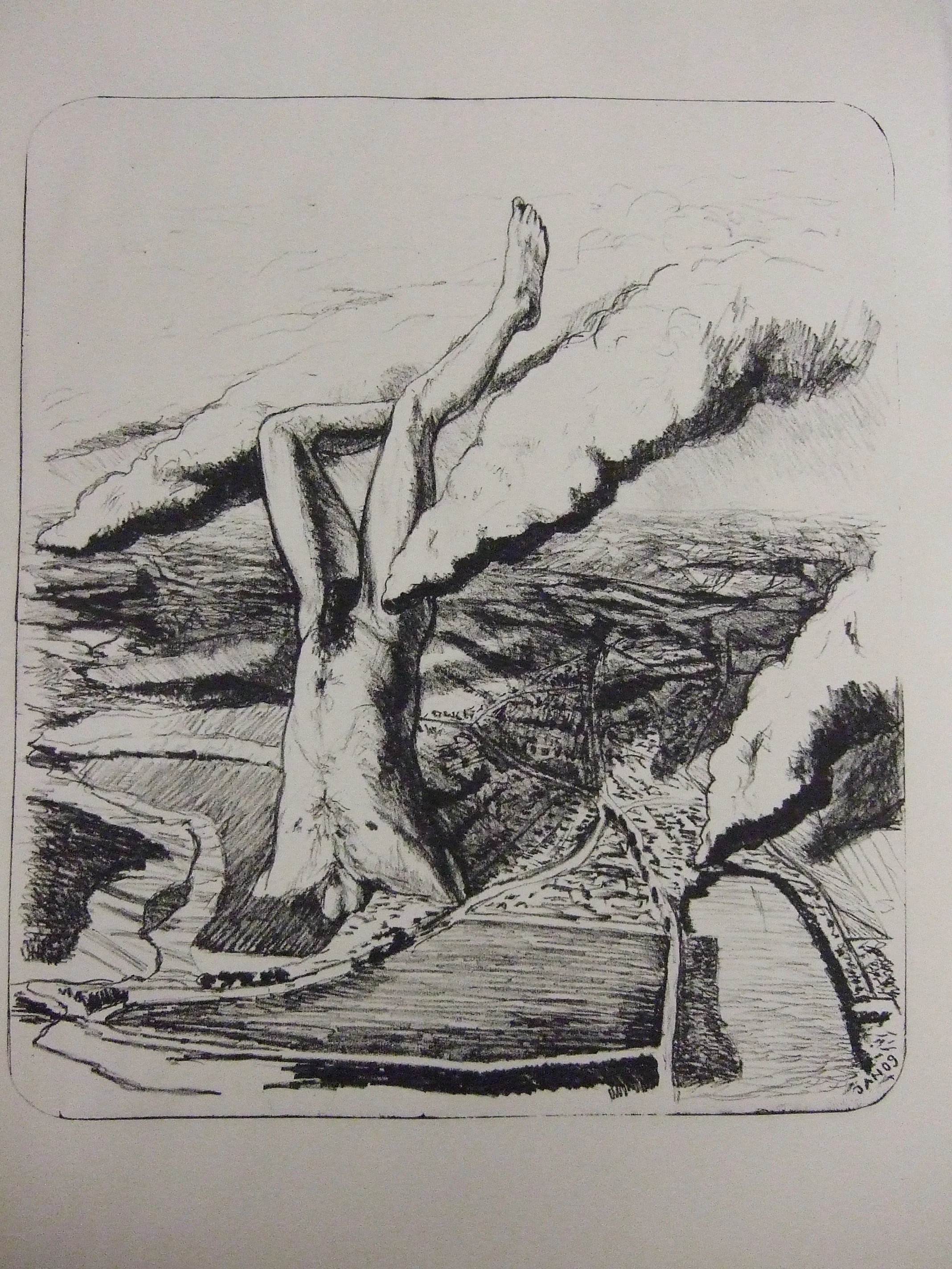  Up side down, 2009, plate lithography,&nbsp;plate: 12 x 10 inch. 