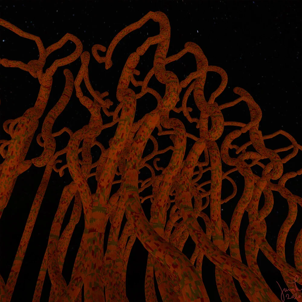  NET I, digital rendering, 2020 