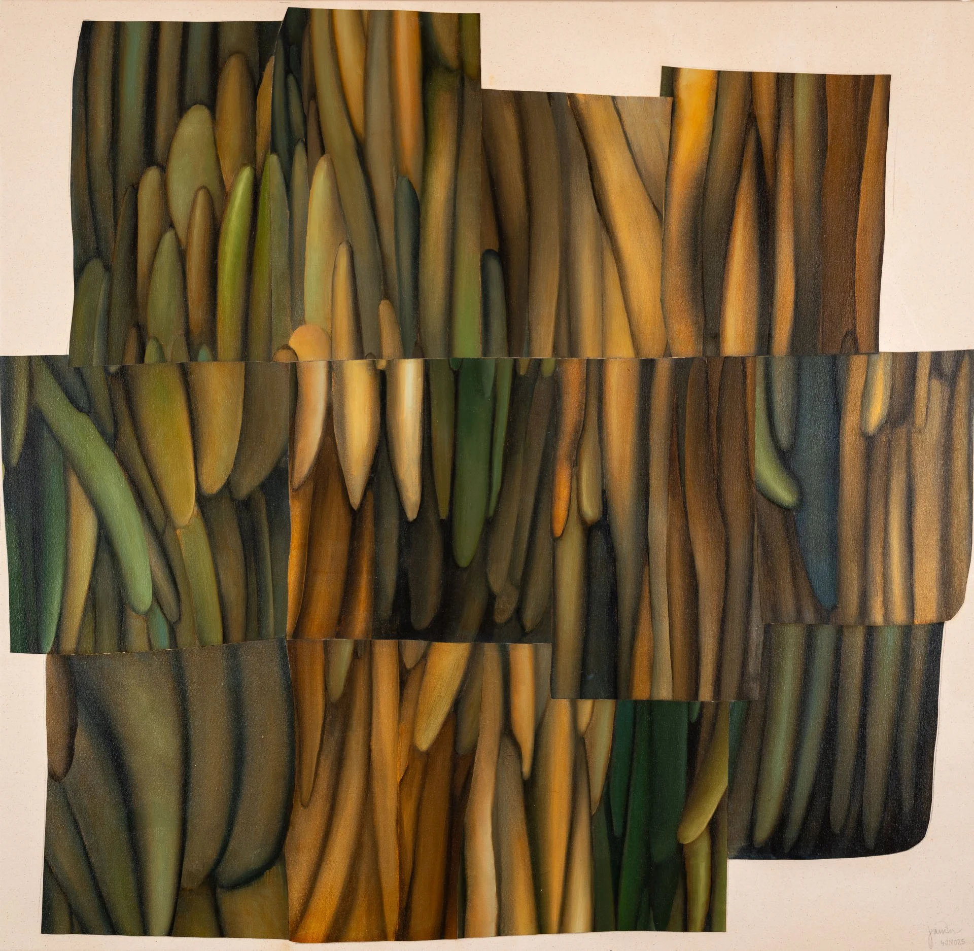  Organika Cutouts 4JN025, oil and acrylic on canvas, 46 × 47 inch., 2025 