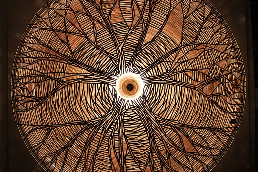 banyon tree