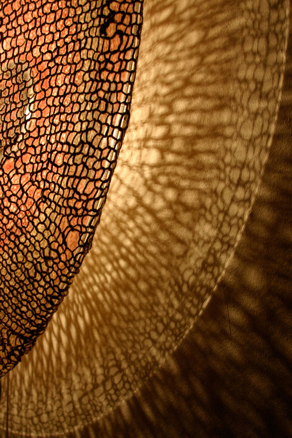 fishnet light