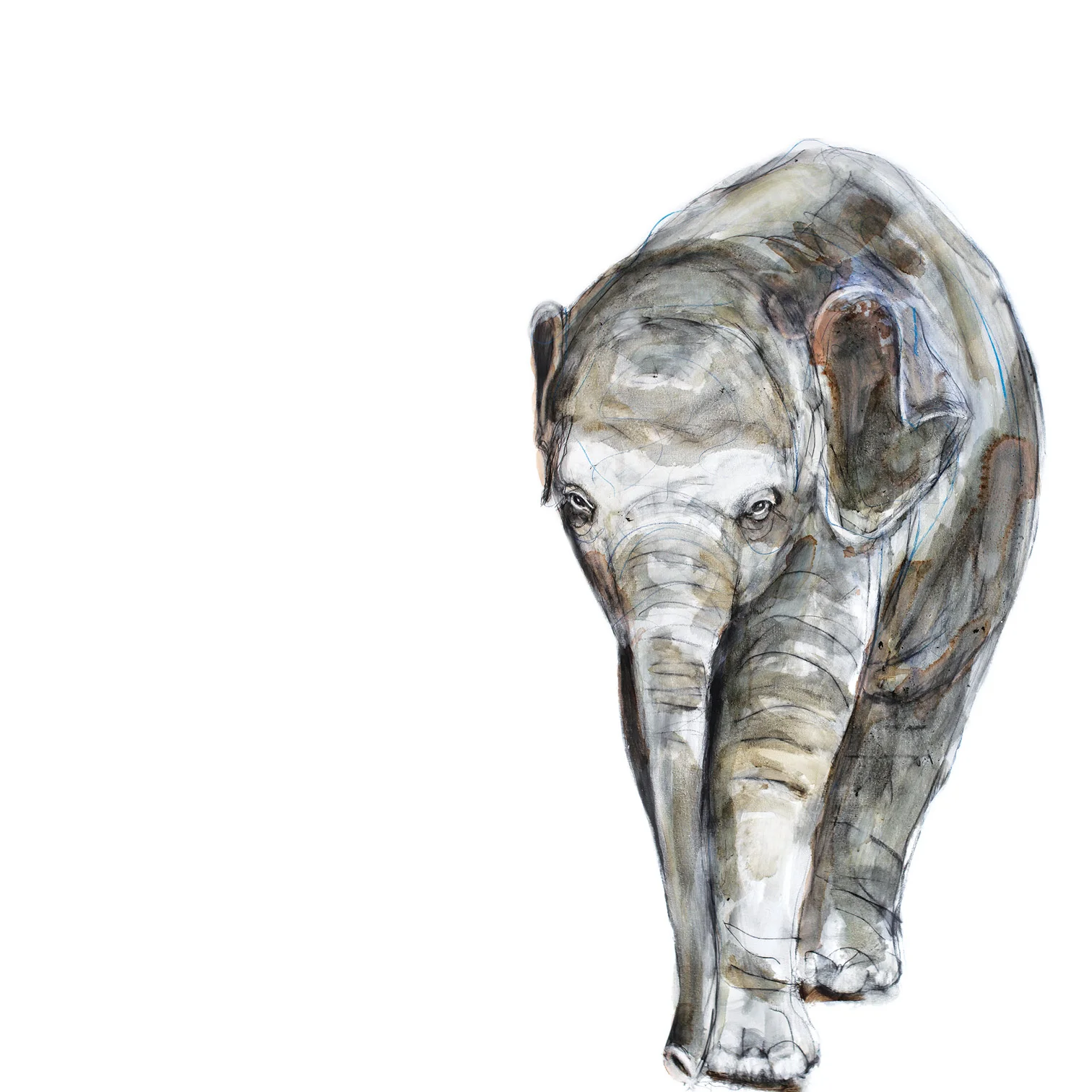 elephant_2.jpg