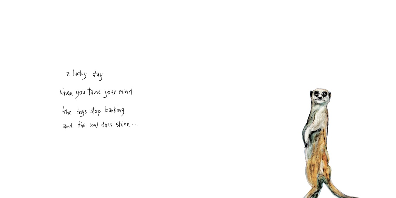 excerpt from 'because i love you'
