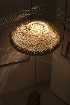 standing_mushroom_1.1.jpg