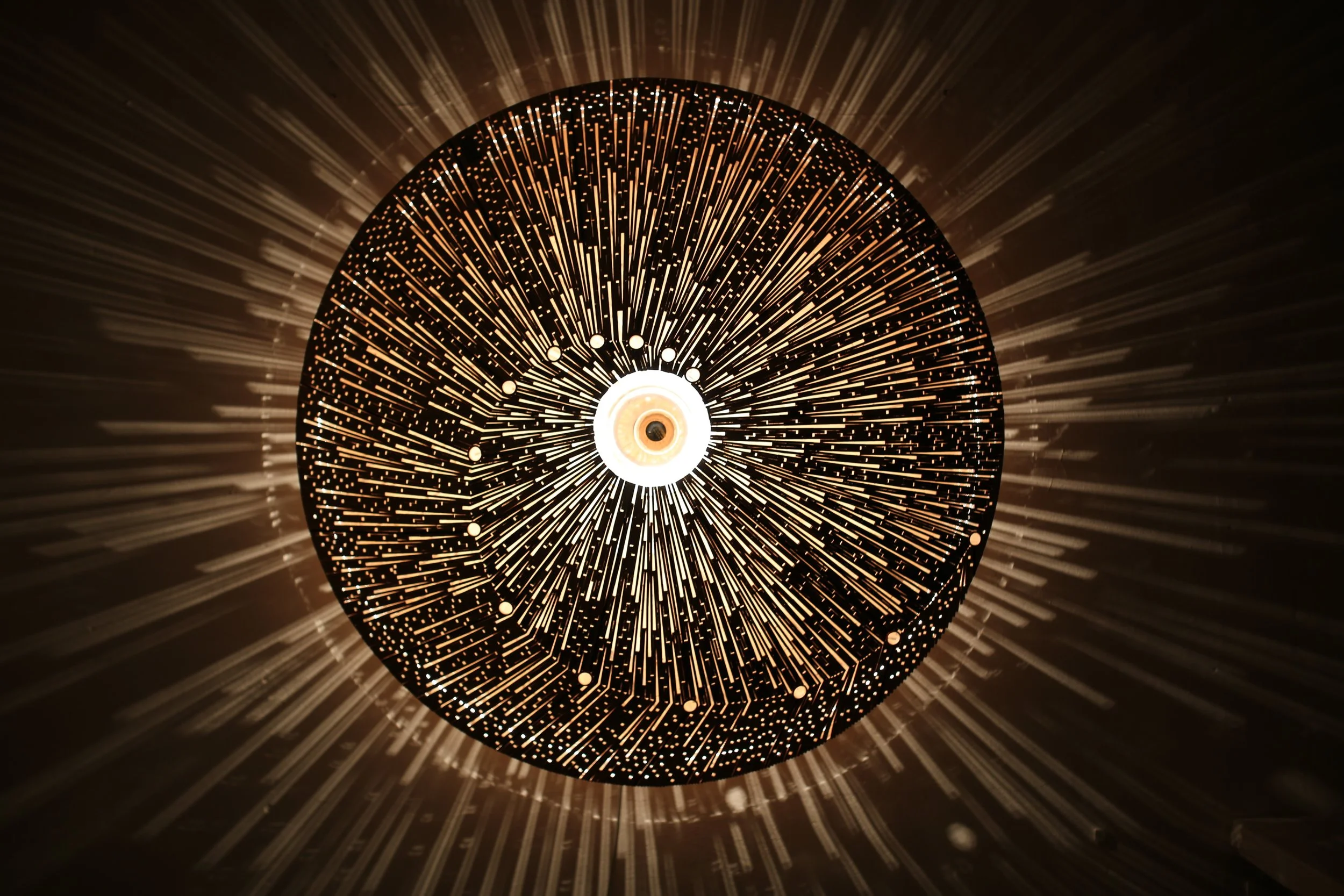 fish light ...