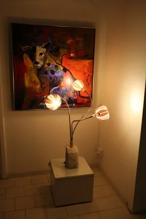 medusa light