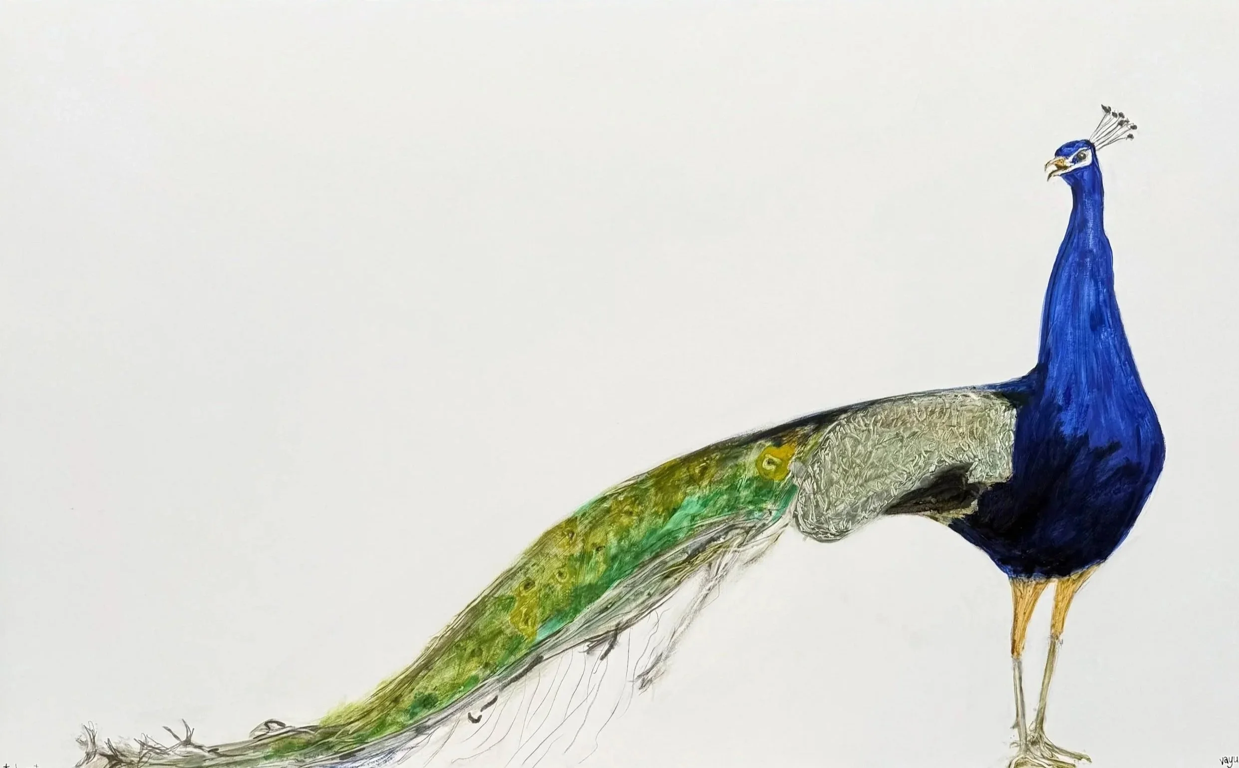 sweet heart ...

 

 1.5m x 90cm   $6500 