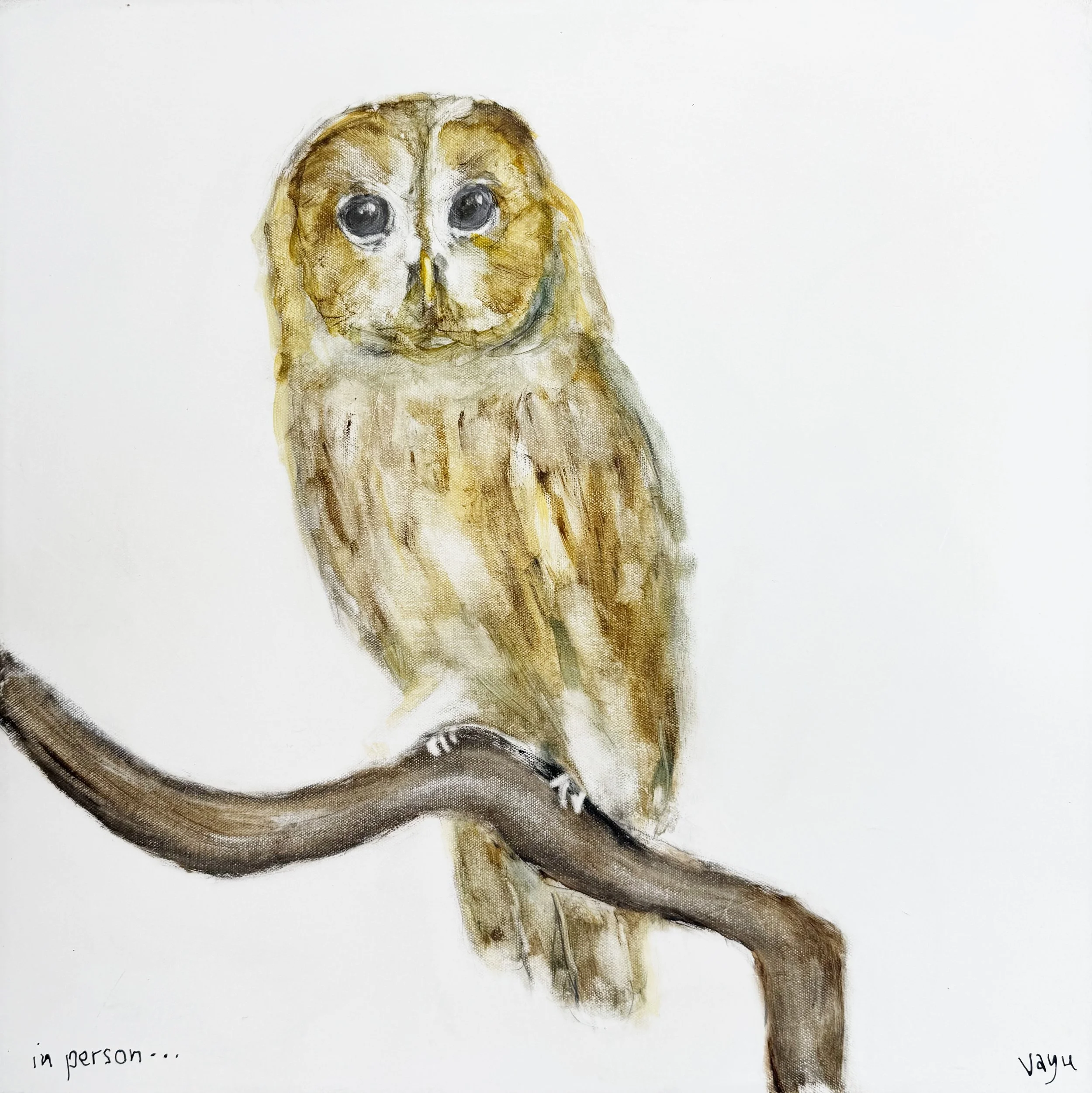 in person ...

 

 50cm x 50cm   $1800 