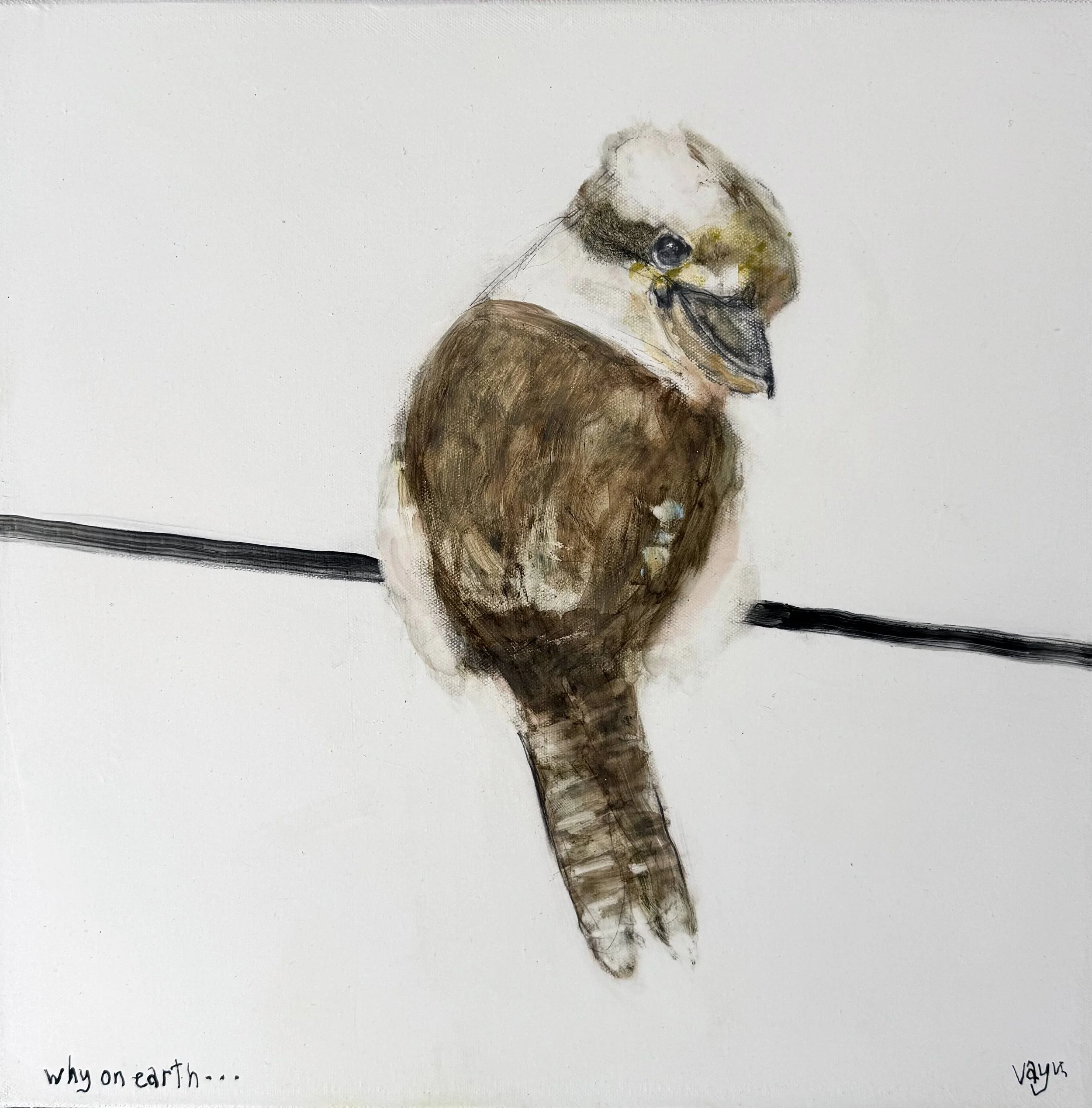 why on earth ...

 

 40cm x 40cm   $1500 