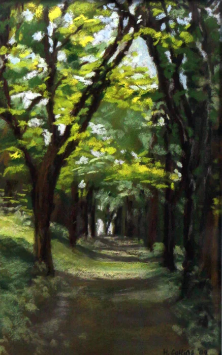 WOODS WALK