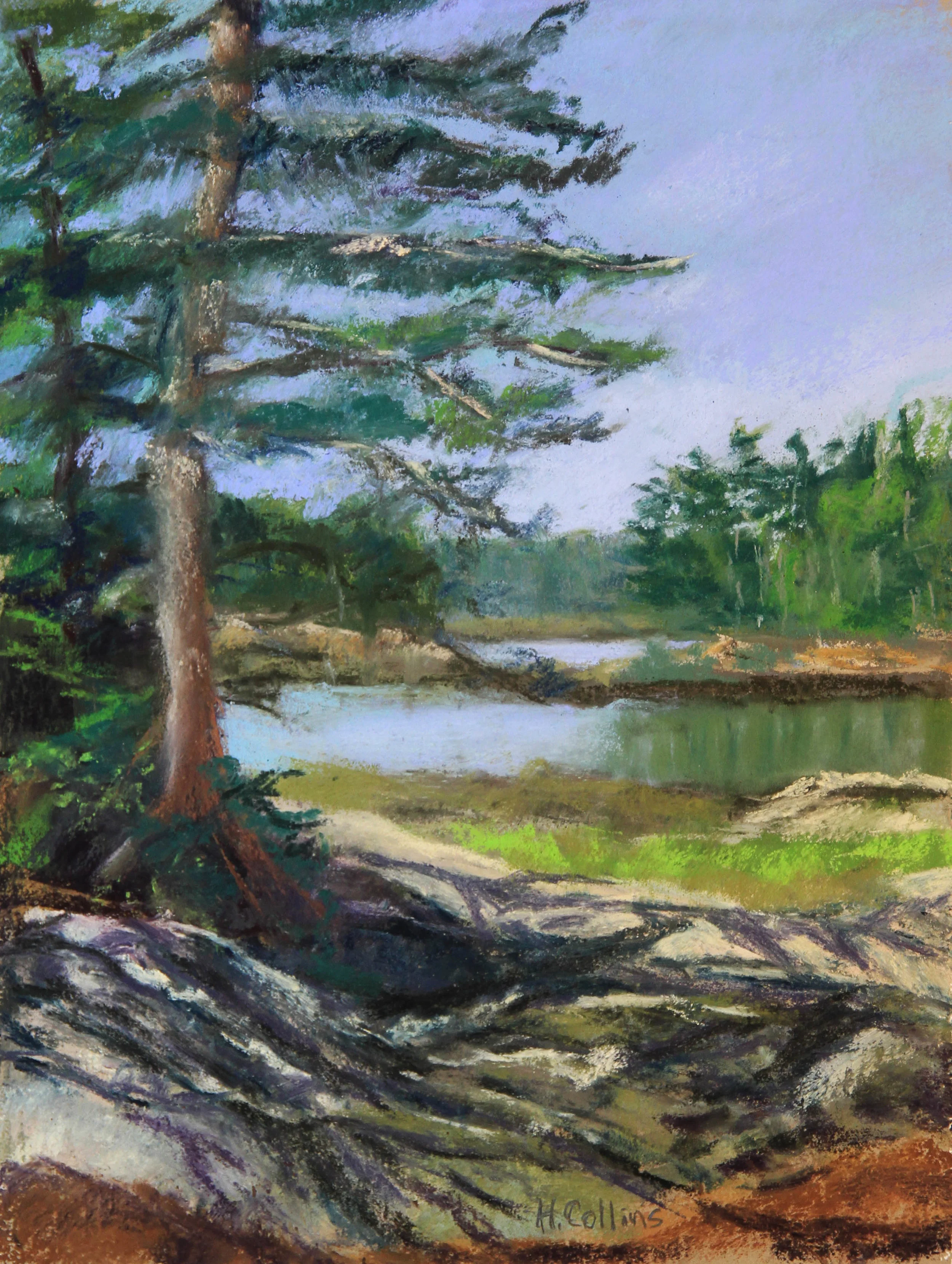 HAVENER COVE