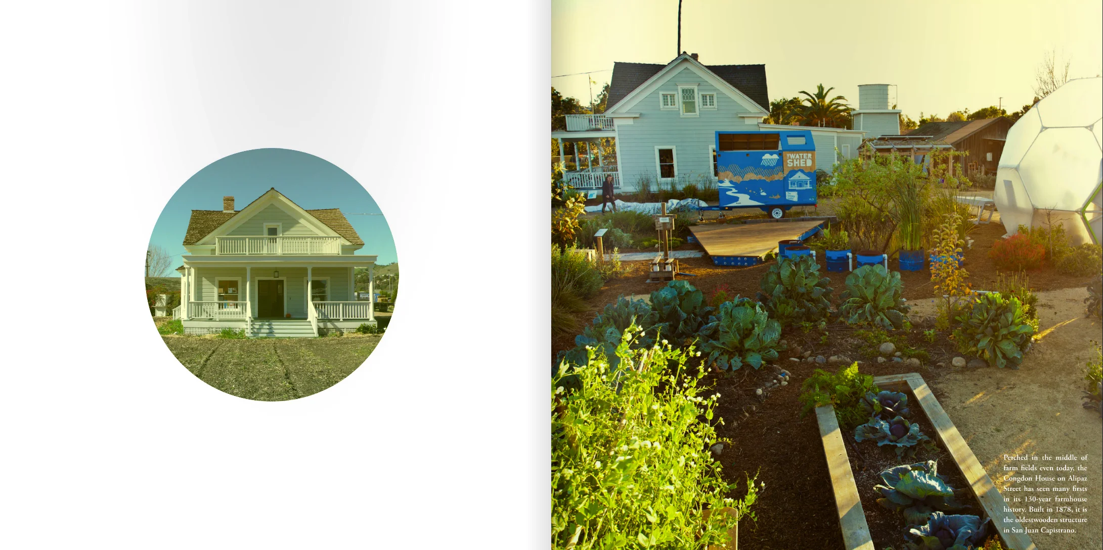Book Design for The Ecology Center