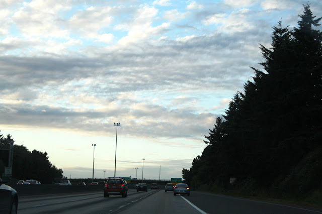 IMG_0645.jpg
