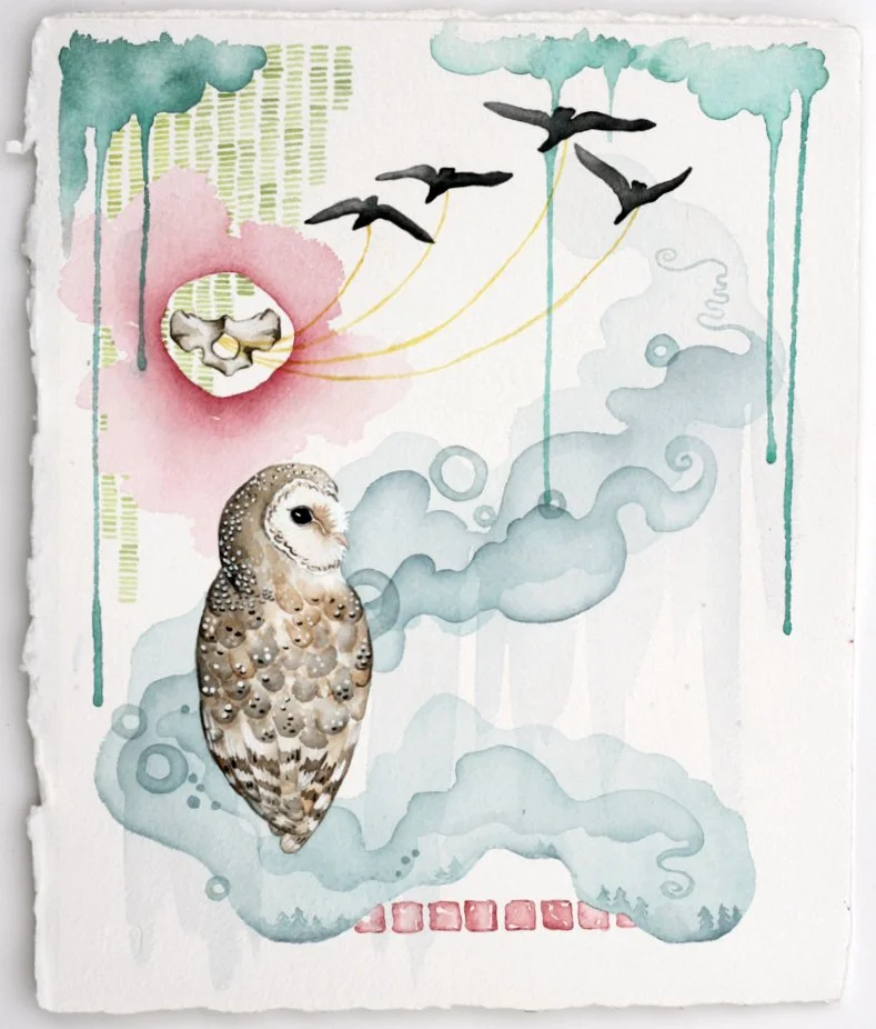 Working with a Realistic Barn Owl and vertebrae, Recognizable birds, and Abstract "weeping" clouds and smoke swirls.