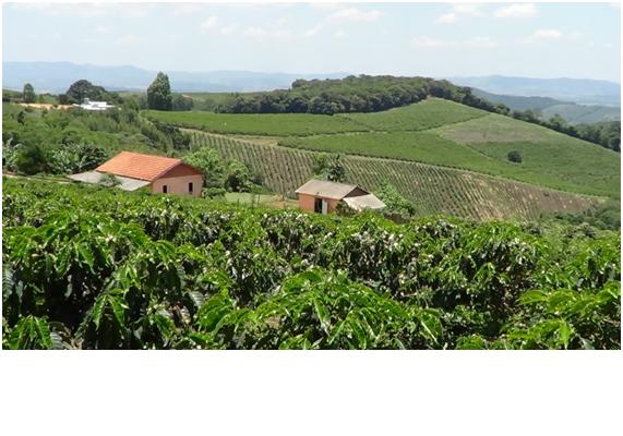 The farm of Maurillo Braz Borges.