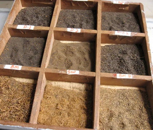 tea8.jpg