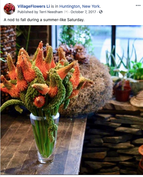 Screen Shot 2020-02-29 at 7.24.19 PM.png