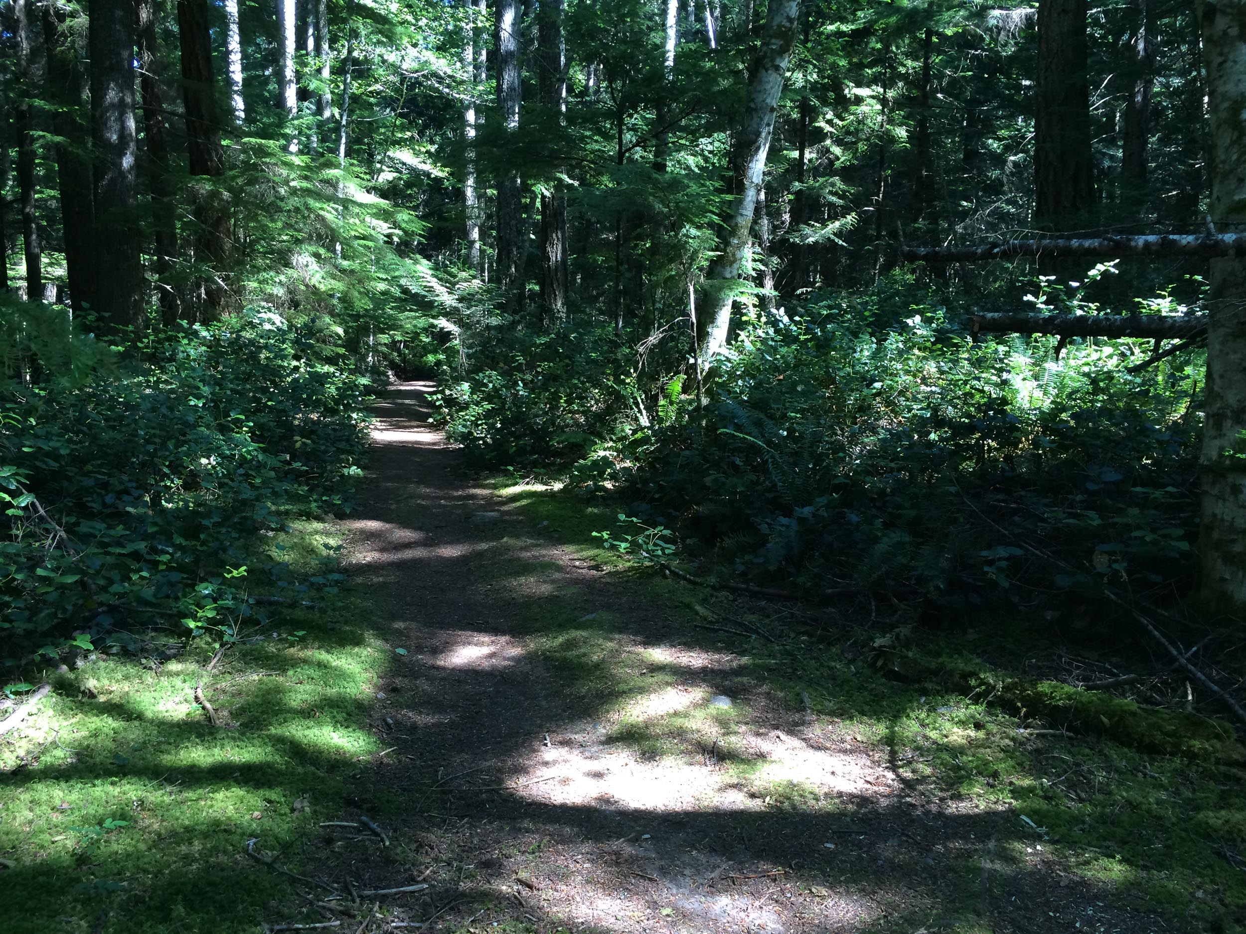 2014-07-16 10.50.12.jpg