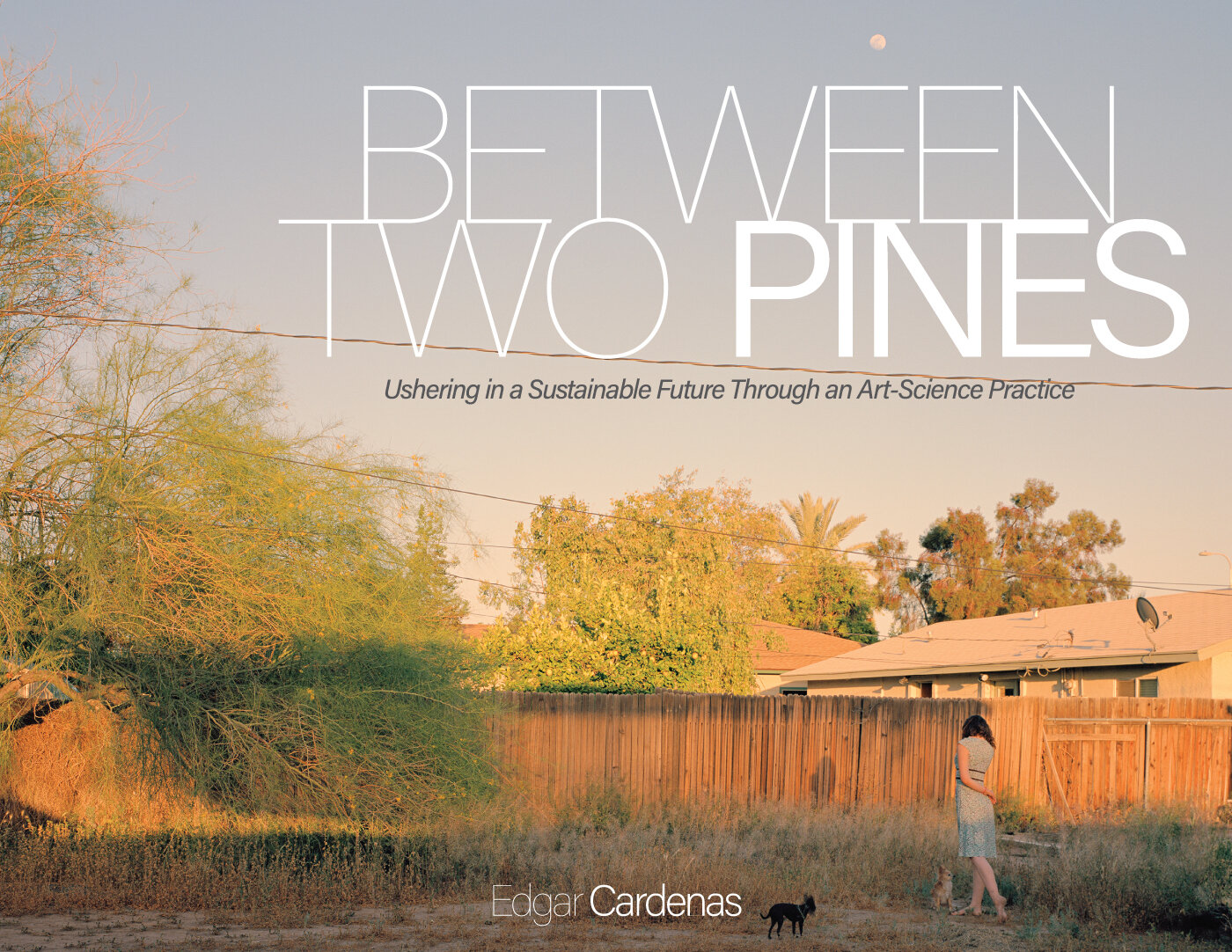 Between Two Pines 