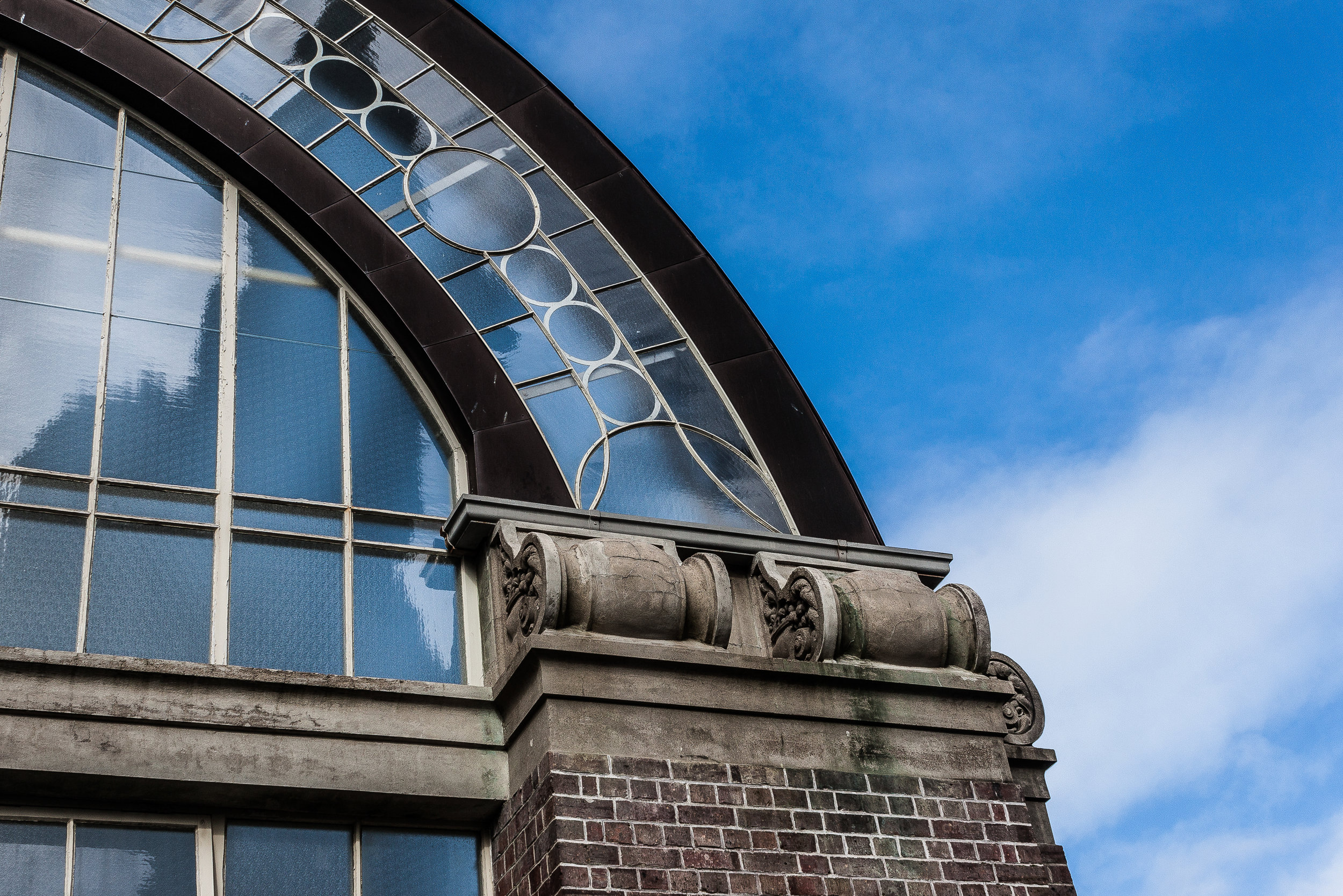 Auckland Domain Winter Gardens - June 2017-7-2.jpg