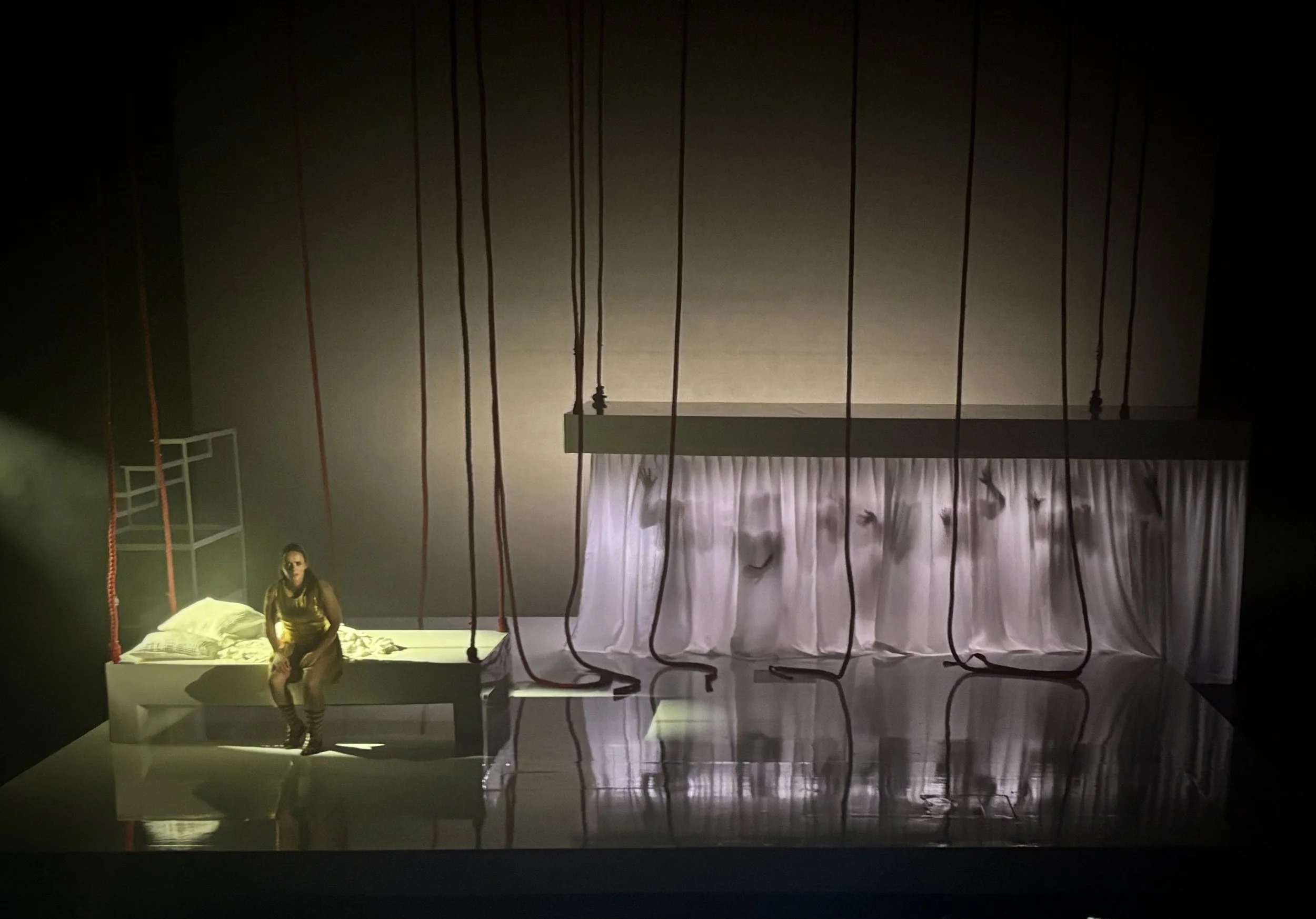  THE PENELOPIAD by Margret Atwood  York Theatre Royal 2026  dir: Juliet Forster   Sara Perks’s minimalist set design evokes the empty, sterile landscape of the Greek underworld. Blood-red ropes recur throughout the production, connecting the skipping