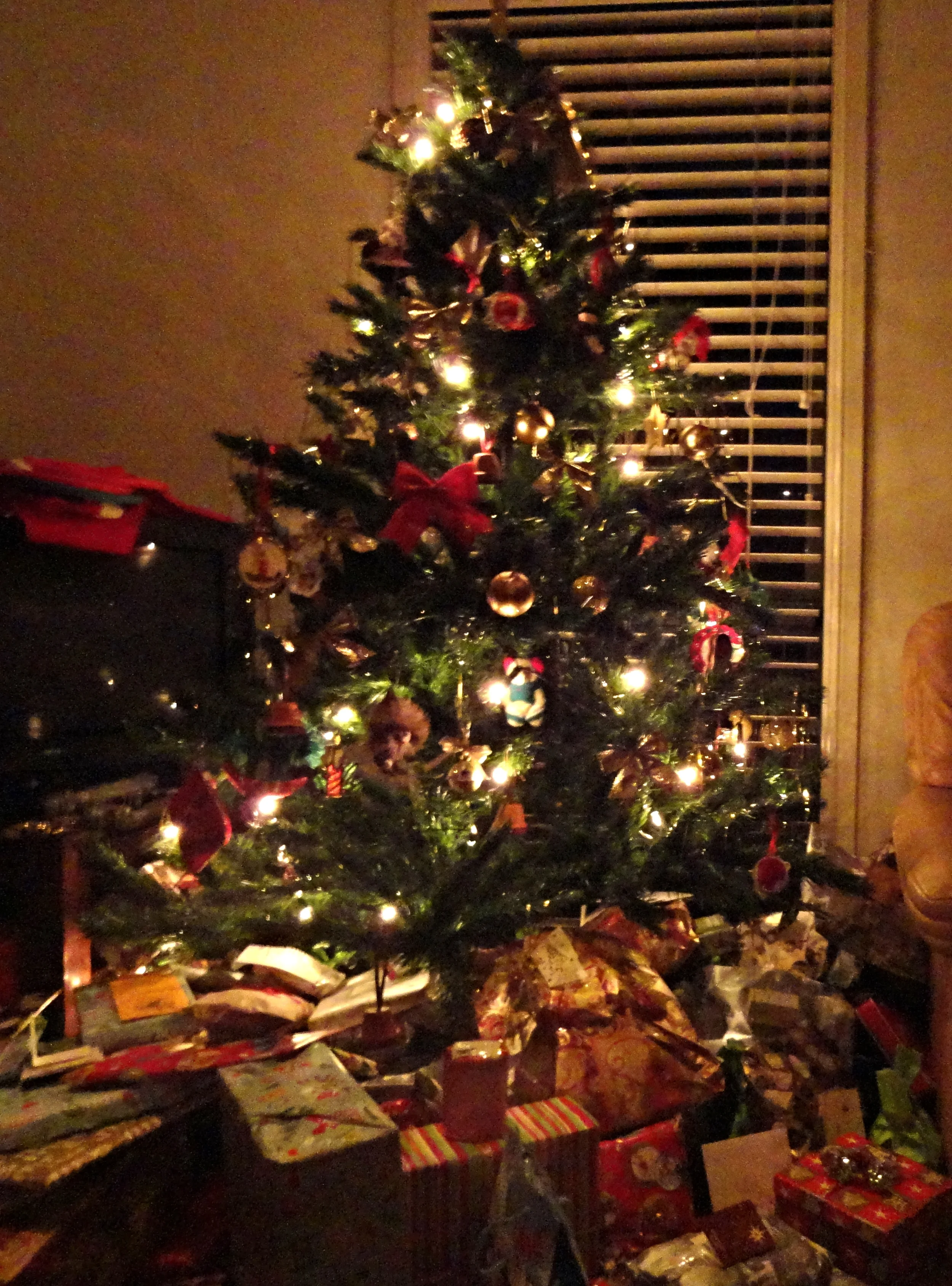 DSC02147.JPG