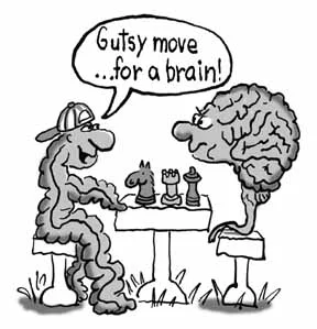 gut-brain-cartoon.jpg