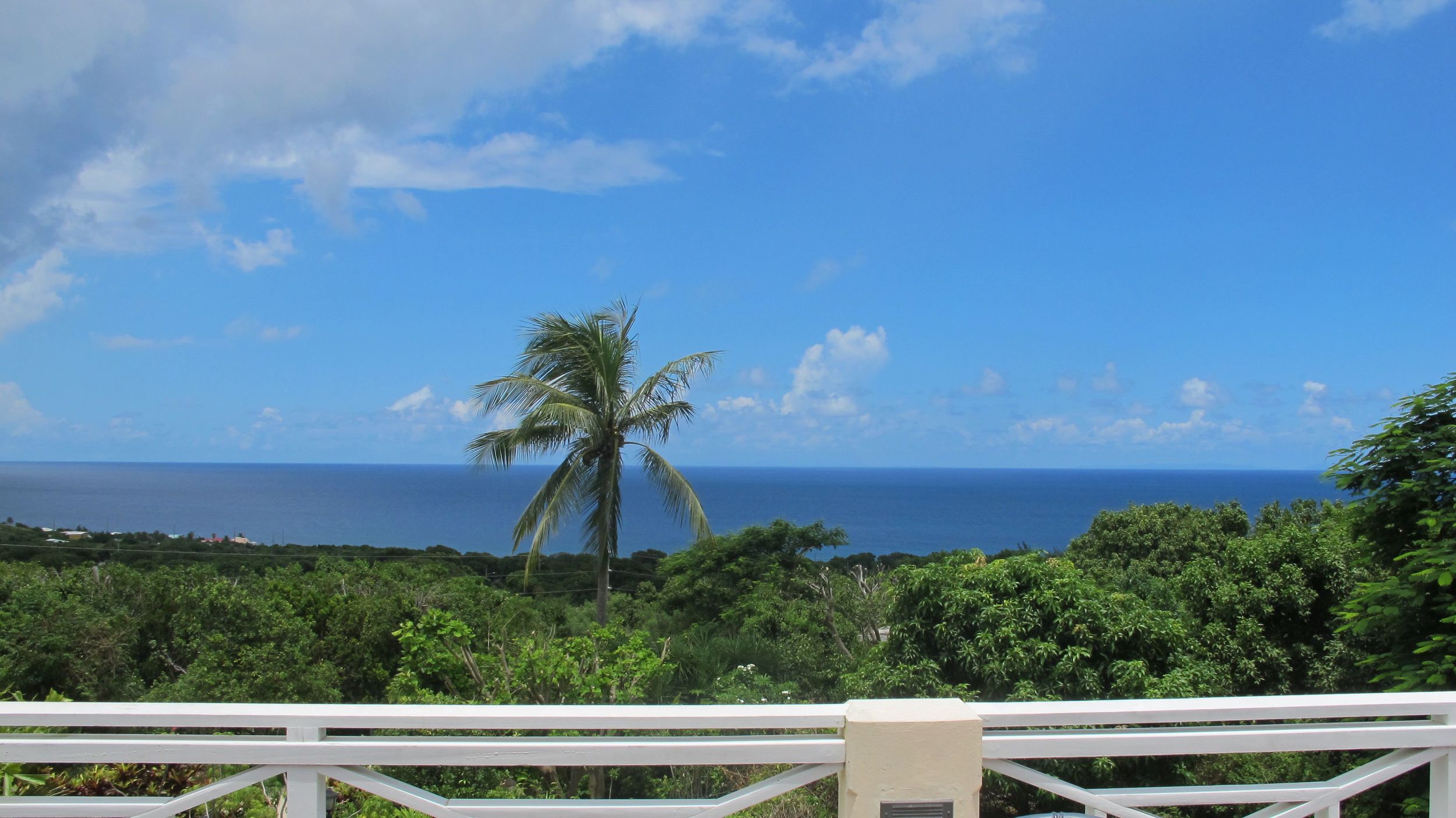 estate view.jpg
