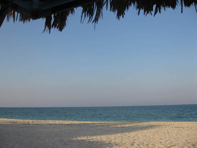 IMG_2356.jpg